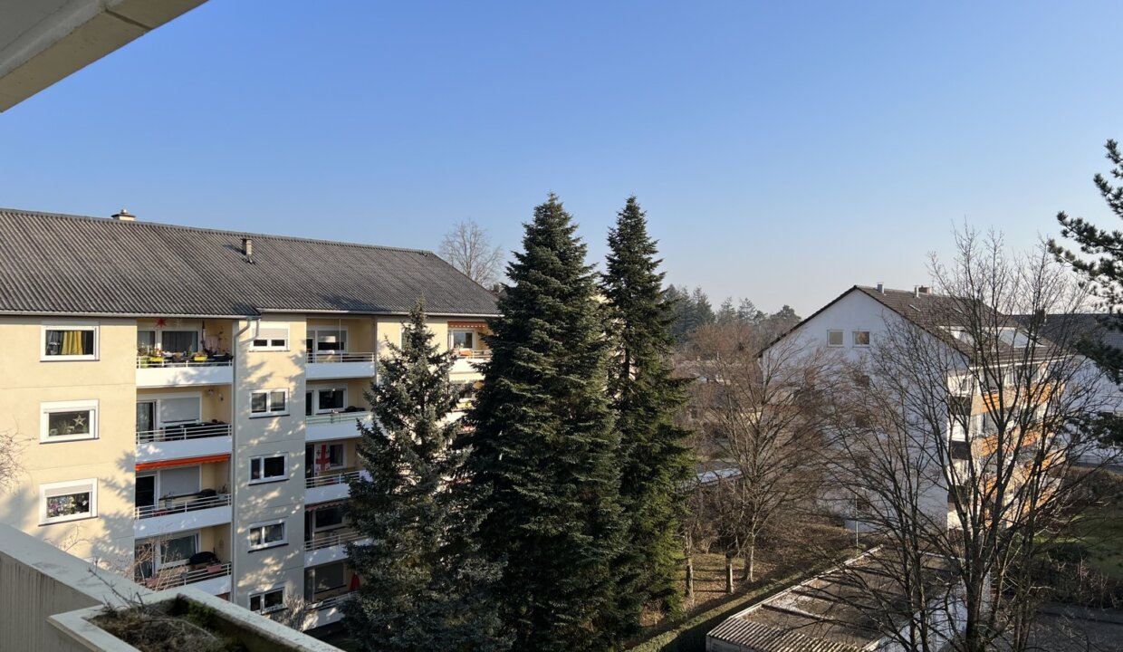 IMG_3912