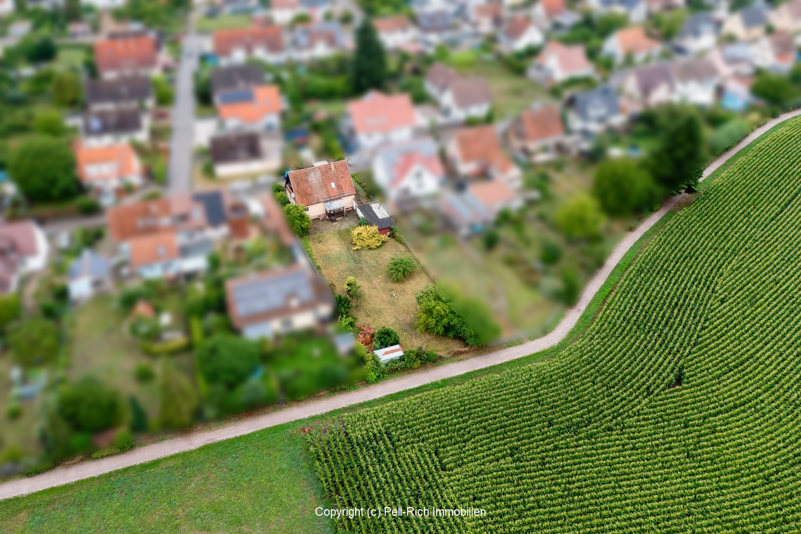 VOGELFREI: Riesiges, in 1. und 2. Reihe bebaubares Grundstück in ruhiger Lage von Rastatt